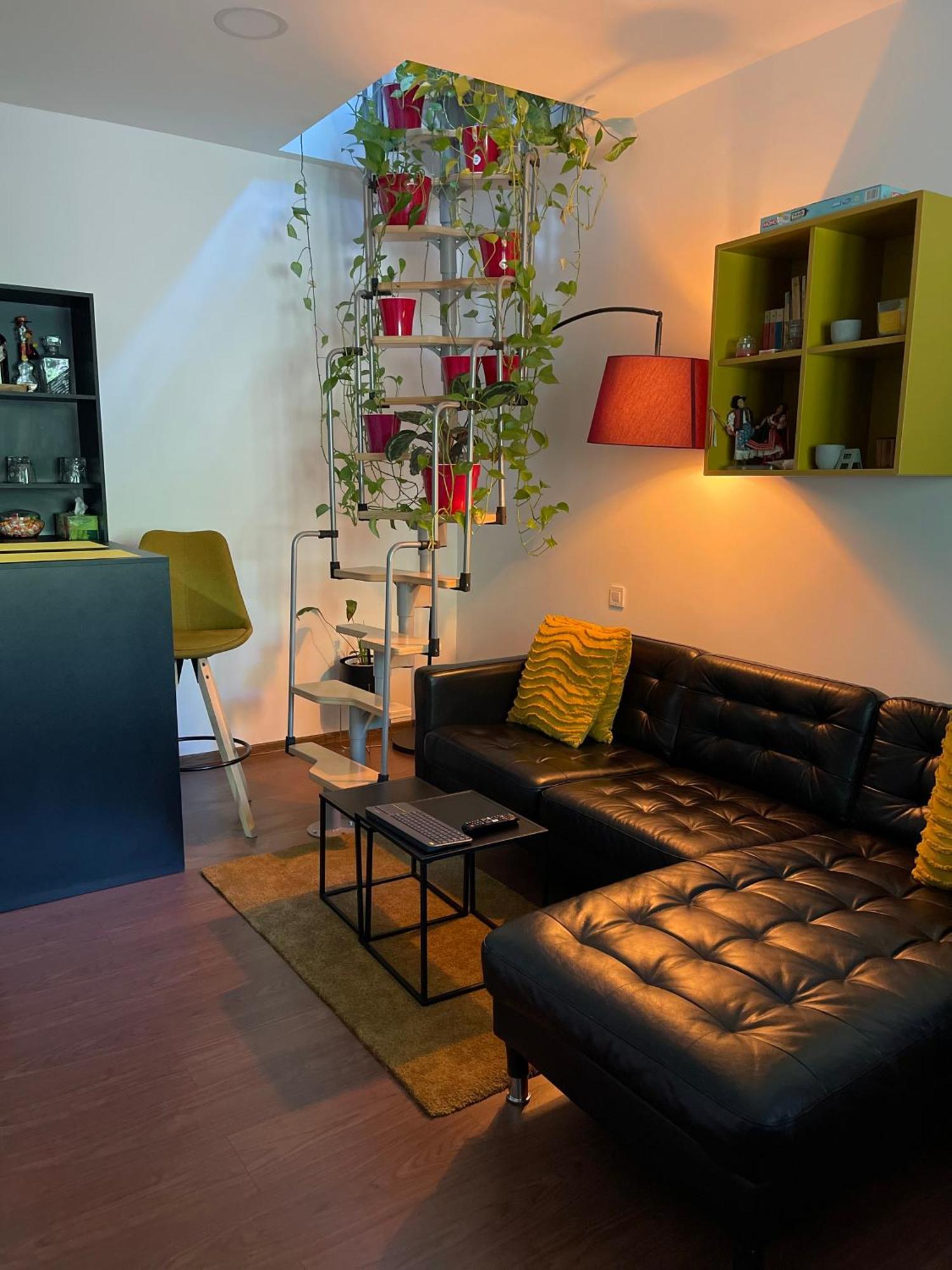City Garden Apartments Bukareszt Zewnętrze zdjęcie