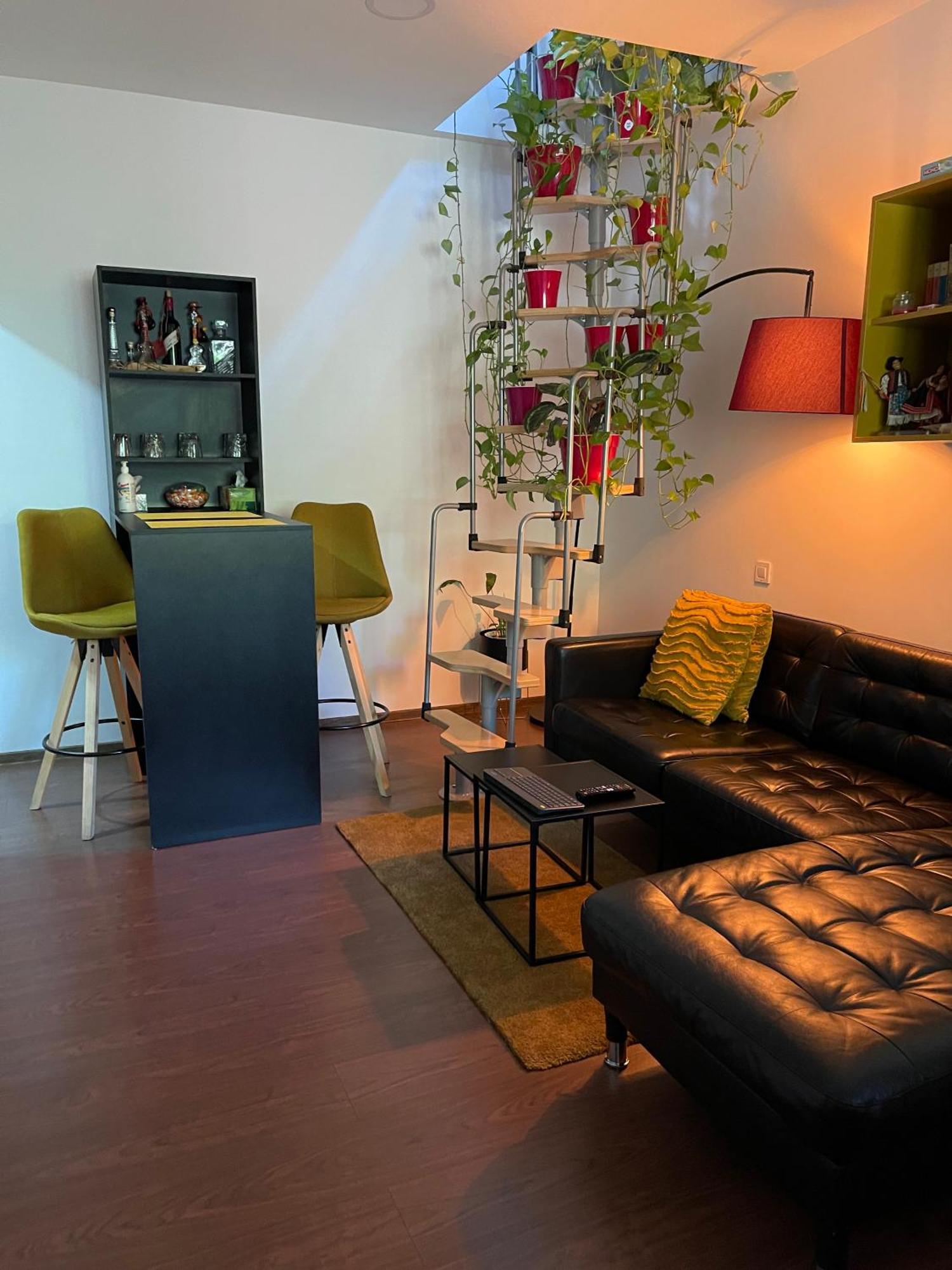 City Garden Apartments Bukareszt Zewnętrze zdjęcie