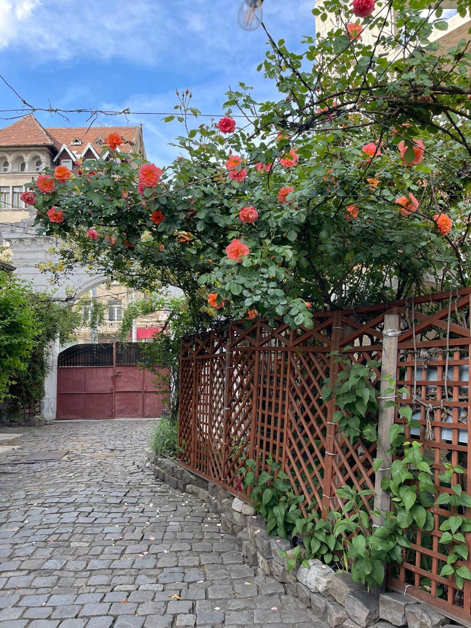 City Garden Apartments Bukareszt Zewnętrze zdjęcie